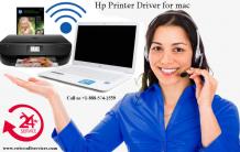 Common Hp printer problem in daily life Home/office