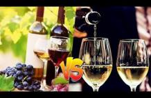 Wine Trends From the ‘80s to the ’20s Private Winery Tours Yarra Valley - Melbourne Private Tours
