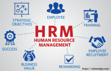 Human Resource Management Degree