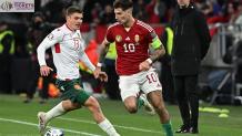 Hungary Vs Switzerland: Teams&#039; Past Performances and Hopes in Euro Cup 2024 - World Wide Tickets and Hospitality - Euro 2024 Tickets | Euro Cup Tickets | UEFA Euro 2024 Tickets | Euro Cup 2024 Tickets | Euro Cup Germany tickets | Euro Cup Final Tickets