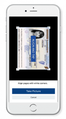Identity Document Verification Made Easy for Trustworthy Transactions