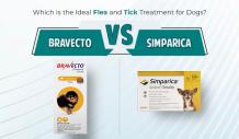 Ideal Flea & Tick Solution: Bravecto vs. Simparica