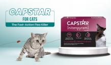 Capstar for Cats – Quick Flea Elimination