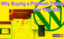 Why Buying a Premium Theme For Your Site - popularbingosites.over-blog.com