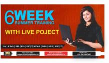 6 Months Summer Training Certification in Delhi | Training Basket