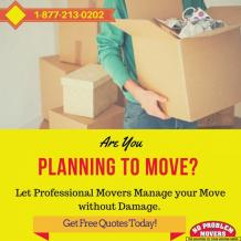 hire-professional-movers