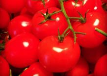 Lycopene found in tomatoes is beneficial in overcoming male infertility - Ghana Live TV