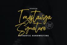 Imestaviga Font Free Download Similar | FreeFontify