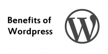 10 Benefits of Utilizing WordPress for Building Business Websites &#8211; SoloStream HelpDesk