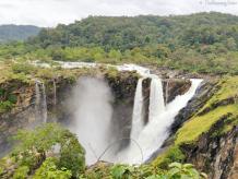 Weekend Itinerary: Bangalore to Jog Falls on a Budget