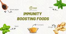 Immunity Boosting Foods - Cytecare Hospital in Bangalore