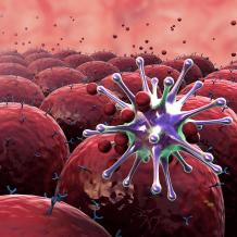 Cancer Immunotherapy - Cancer Treatment  