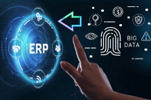 How to Survive in a World of Big Data with Intelligent ERP Software?