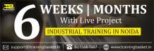 6 months project based industrial training