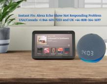 Instant Fix: Alexa Echo Show Not Responding Problem