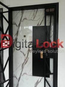 Bifold Door