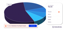    Interventional Neuroradiology Pipeline Report including Stages of Development, Segments, Region and Countries, Regulatory Path and Key Companies, 2022 Update  