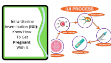 Intra-Uterine Insemination (IUI):  Know How To Get Pregnant With It