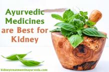 Best Kidney Failure Ayurvedic Treatment