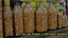 Important guidelines to start peanut business