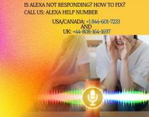 Is Alexa Not Responding? How to Fix?