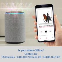 Is your Alexa Offline? Best Guide here