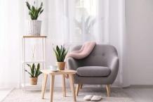 Snake plant: An ultimate guide for plant parents (+Shop here) | Building and Interiors