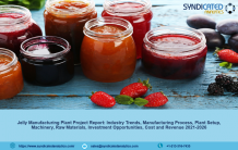 Jelly Manufacturing Plant Project Report, Industry Trends, Business Plan, Machinery Requirements, Raw Materials, Cost and Revenue 2021-2026 - Publicist Records