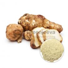 USDA Approved Bulk Organic Artichoke Powder Supplier USA