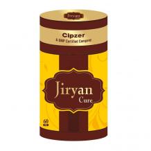 Jiryan Cure Pills &#8211; India #1 Herbal Products Online Store.