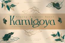 Kamigoya Font Free Download Similar | FreeFontify