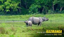 kaziranga shillong tour