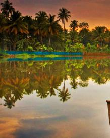 Kerala Honeymoon Tour