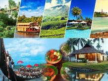 Kerala tour And Travel