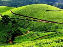 Best Kerala Holiday Packages in India | Kerala Tours India | Kerala Trip
