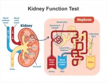 Pathology Lab in Mulund 24x7 | NABL Certified | Fast Reports