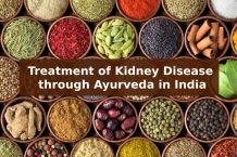 Treatment of Kidney Disease through Ayurveda in India