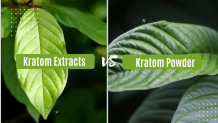 Kratom Extract vs Powder Forms - Benefits, Differences, and Dosage