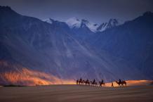 Ladakh Nubra Valley Package Tour from Kolkata with NatureWings