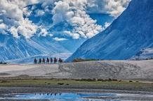 Ladakh Package Tour with Nubra Valley NatureWings