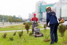 Search “Landscapers Near Me” For Affordable Landscaping Services