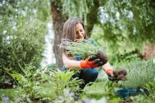 Create a Welcoming Environment by Landscape Services in Vancouver?
