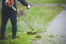 Contribute to the Environment with Landscaping in Burnaby