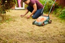 Advantages of Lawn Care and Mowing in Vancouver