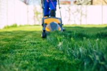 Need Professionals for Lawn Care and Mowing in Vancouver?