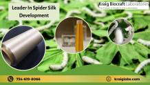 Leader In Spider Silk Development