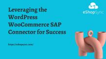 Leveraging the WordPress WooCommerce SAP Connector for Success