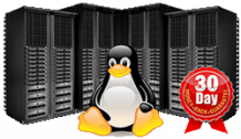 Buy Linux Web Hosting in India @ Affordable Price | Intouch