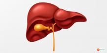 Liver Transplant at Affordable Cost in India