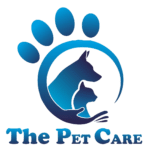 Pet Boarding |Dog Boarding Services In Chennai - The Pet Care